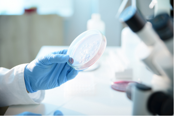 微生物实验室装修设计指南：博知行实验室带你解锁合规与实用双重标准